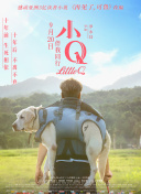 航向胜利！龙魂无双团队合作的优势分析